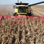 guerra-en-medio-oriente:-las-fuertes-subas-de-precios-del-gasoil-y-de-los-fertilizantes-impactan-en-los-margenes-del-campo