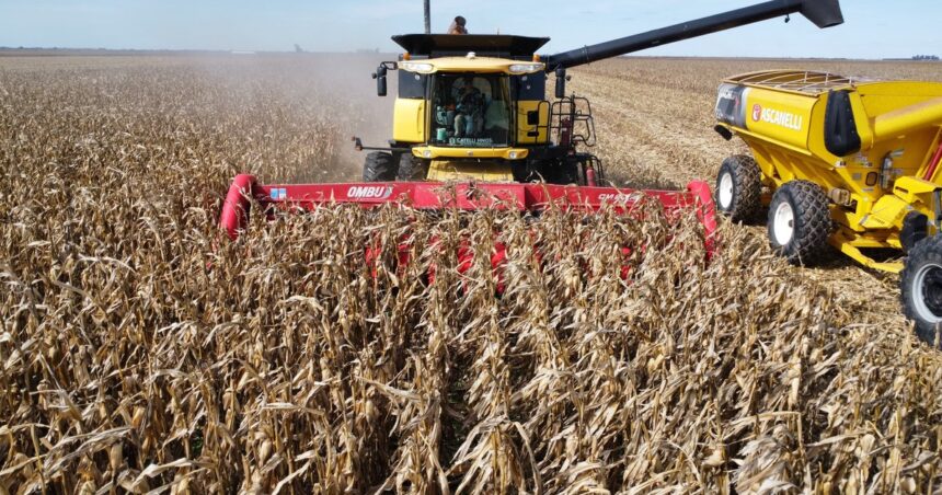 guerra-en-medio-oriente:-las-fuertes-subas-de-precios-del-gasoil-y-de-los-fertilizantes-impactan-en-los-margenes-del-campo
