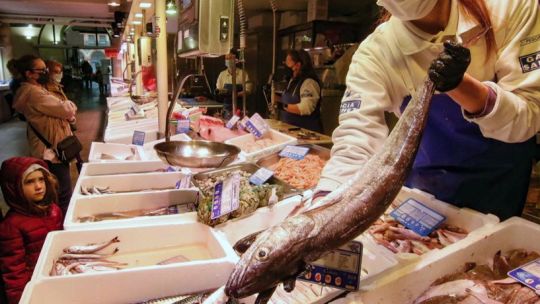 crece-la-demanda-en-semana-santa:-aseguran-que-los-precios-del-pescado-se-mantendran-sin-aumentos-en-cordoba