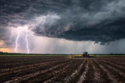 alerta-en-el-campo-por-las-lluvias-de-otono-que-retrasan-las-cosechas