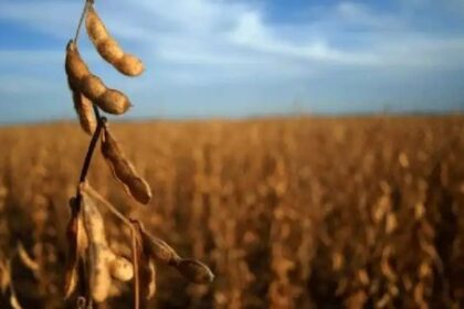 luis-machado-sobre-las-exportaciones-agroindustriales:-“es-el-volumen-mas-alto-de-la-decada”