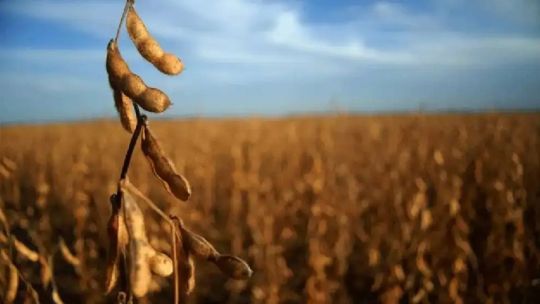 luis-machado-sobre-las-exportaciones-agroindustriales:-“es-el-volumen-mas-alto-de-la-decada”