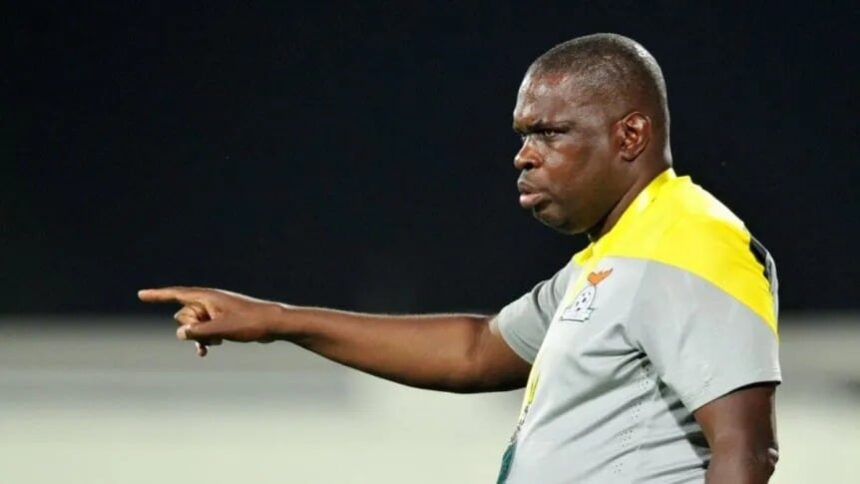 el-tecnico-de-zambia-palpito-el-amistoso-ante-la-seleccion:-“nadie-esperaba-tener-una-invitacion-de-argentina”