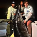 gigante-del-oceano:-un-pez-espada-de-mas-de-220-kilos-sorprendio-en-la-florida