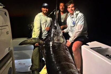 gigante-del-oceano:-un-pez-espada-de-mas-de-220-kilos-sorprendio-en-la-florida