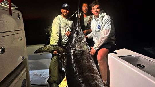gigante-del-oceano:-un-pez-espada-de-mas-de-220-kilos-sorprendio-en-la-florida