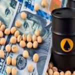 la-suba-del-petroleo-redefine-el-agro:-la-soja-gana-atractivo-y-le-mete-presion-al-maiz