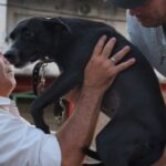 giro-en-la-causa-“alita”:-el-fiscal-general-de-corrientes-ordeno-investigar-la-zoofilia-como-crueldad-animal