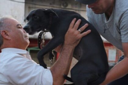 giro-en-la-causa-“alita”:-el-fiscal-general-de-corrientes-ordeno-investigar-la-zoofilia-como-crueldad-animal
