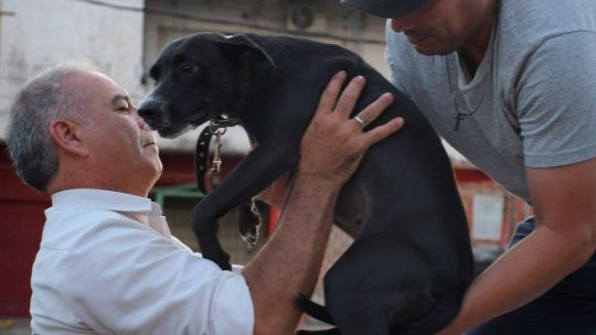 giro-en-la-causa-“alita”:-el-fiscal-general-de-corrientes-ordeno-investigar-la-zoofilia-como-crueldad-animal