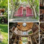 venden-la-casa-de-pino-solanas-en-olivos:-una-historia-de-pelicula-y-el-“esperar-a-alguien-que-no-vuelve-mas”