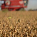 subio-la-presion-impositiva-al-campo-y-el-estado-se-queda-con-casi-dos-tercios-de-la-renta-del-productor