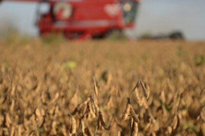 subio-la-presion-impositiva-al-campo-y-el-estado-se-queda-con-casi-dos-tercios-de-la-renta-del-productor