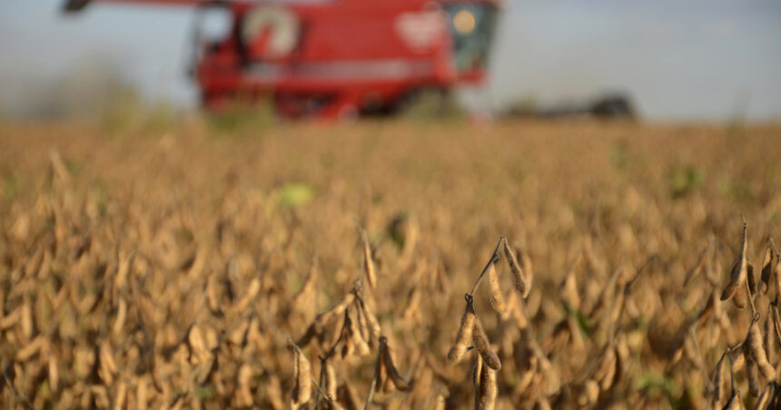 subio-la-presion-impositiva-al-campo-y-el-estado-se-queda-con-casi-dos-tercios-de-la-renta-del-productor