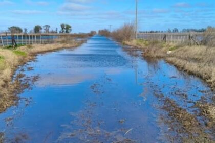 fallo-historico:-productores-lograron-que-un-juez-dictaminara-la-tasa-vial-nula-por-la-falta-de-contraprestacion-por-parte-del-municipio