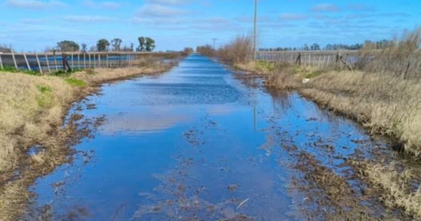 fallo-historico:-productores-lograron-que-un-juez-dictaminara-la-tasa-vial-nula-por-la-falta-de-contraprestacion-por-parte-del-municipio
