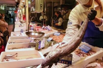 cual-es-el-precio-del-pescado-en-los-dias-previos-a-la-llegada-de-semana-santa
