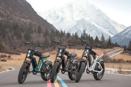 bicicletas-electricas-en-argentina:-que-modelos-se-consiguen,-cuanto-cuestan-y-que-tener-en-cuenta-antes-de-comprar