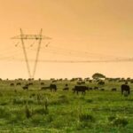 en-que-consiste-la-estrategia-federal-energetica:-un-plan-que-busca-fortalecer-el-desarrollo-economico-de-las-provincias