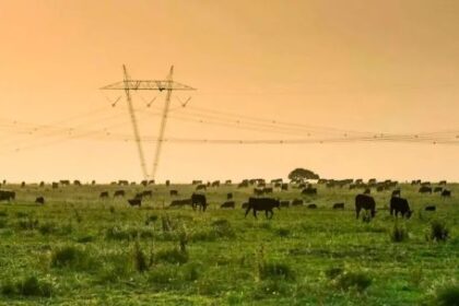 en-que-consiste-la-estrategia-federal-energetica:-un-plan-que-busca-fortalecer-el-desarrollo-economico-de-las-provincias