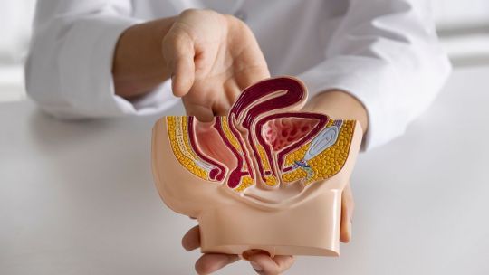 dia-mundial-del-cancer-de-colon:-la-prevencion-como-clave-frente-a-los-15.000-nuevos-casos-anuales-en-argentina