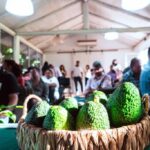 palta-en-crecimiento:-mas-de-40-productores-se-formaron-en-una-tecnica-que-mejora-calidad-y-rendimiento