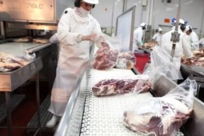 reconfiguracion-del-mercado-carnico:-“la-industria-se-encuentra-con-precios-internacionales-record”