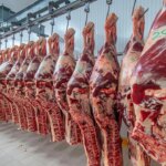 china-rechazo-22-toneladas-de-carne-argentina-tras-detectar-el-uso-de-un-antibiotico-prohibido