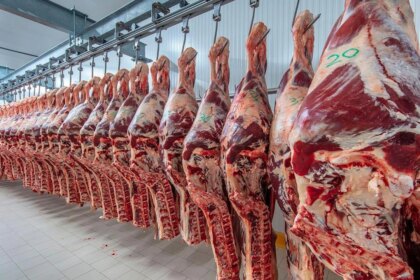 china-rechazo-22-toneladas-de-carne-argentina-tras-detectar-el-uso-de-un-antibiotico-prohibido