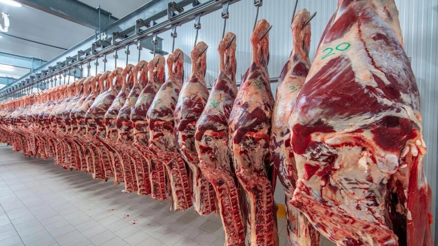 china-rechazo-22-toneladas-de-carne-argentina-tras-detectar-el-uso-de-un-antibiotico-prohibido
