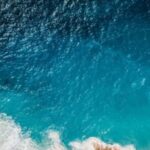 “hito-para-la-naturaleza”:-el-10%-de-los-oceanos-esta-oficialmente-protegido