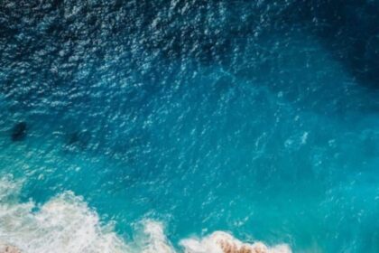 “hito-para-la-naturaleza”:-el-10%-de-los-oceanos-esta-oficialmente-protegido