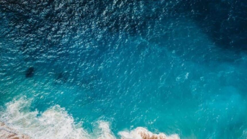 “hito-para-la-naturaleza”:-el-10%-de-los-oceanos-esta-oficialmente-protegido
