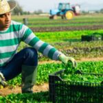 el-plan-de-arcor-y-danone-para-convertir-a-mastellone-en-el-referente-de-la-«economia-verde»