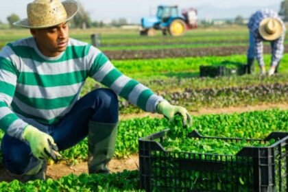 el-plan-de-arcor-y-danone-para-convertir-a-mastellone-en-el-referente-de-la-«economia-verde»