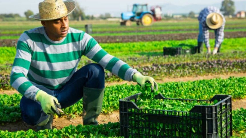 el-plan-de-arcor-y-danone-para-convertir-a-mastellone-en-el-referente-de-la-«economia-verde»