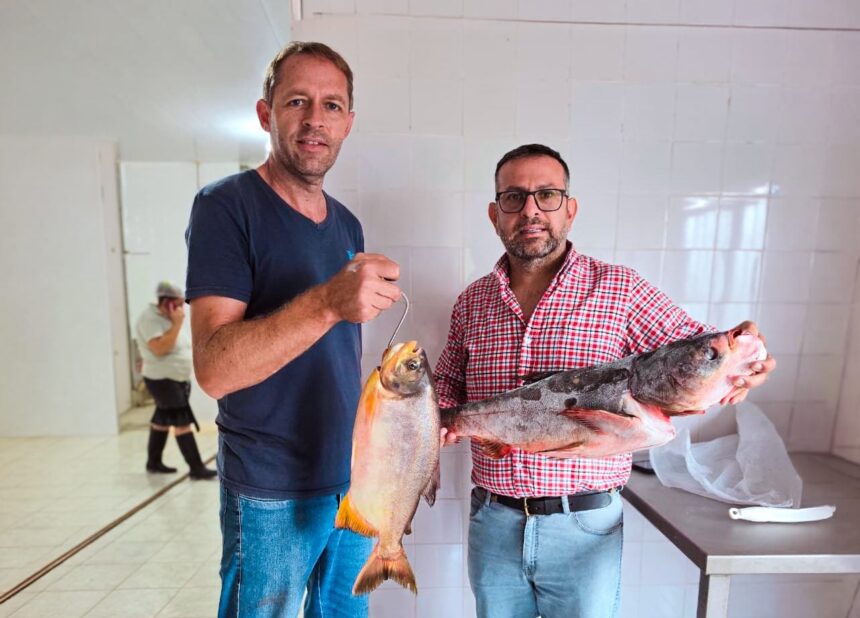la-acuicultura-pisa-fuerte-en-misiones:-cosecharon-casi-cinco-toneladas-de-pescado-durante-semana-santa