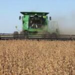 el-sector-agropecuario-toco-el-nivel-mas-alto-de-confianza-en-casi-una-decada
