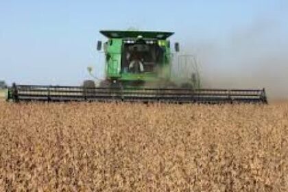 el-sector-agropecuario-toco-el-nivel-mas-alto-de-confianza-en-casi-una-decada