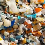 investigadores-argentinos-crearon-un-metodo-para-detectar-microplasticos-en-alimentos