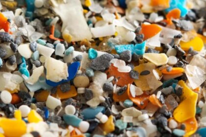 investigadores-argentinos-crearon-un-metodo-para-detectar-microplasticos-en-alimentos