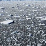 detectan-microplasticos-en-la-antartida:-el-hallazgo-en-isla-decepcion-que-alerta-sobre-la-contaminacion
