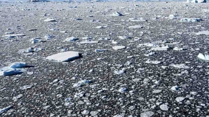 detectan-microplasticos-en-la-antartida:-el-hallazgo-en-isla-decepcion-que-alerta-sobre-la-contaminacion