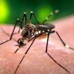 cordoba-registra-mas-casos-de-chikungunya-y-refuerza-operativos-sanitarios,