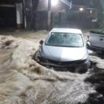 inundaciones-en-tucuman:-tres-personas-murieron-y-hay-perdidas-millonarias.-el-heroismo-de-los-voluntarios-que-salieron-a-rescatar-animales