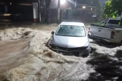 inundaciones-en-tucuman:-tres-personas-murieron-y-hay-perdidas-millonarias.-el-heroismo-de-los-voluntarios-que-salieron-a-rescatar-animales
