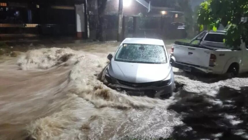 inundaciones-en-tucuman:-tres-personas-murieron-y-hay-perdidas-millonarias.-el-heroismo-de-los-voluntarios-que-salieron-a-rescatar-animales