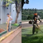 eldorado-impulsa-la-reposicion-de-arboles-y-mejora-espacios-publicos-con-el-mantenimiento-constante