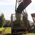 la-expo-agroindustrial-obera-reunira-produccion,-industria-y-negocios-en-dos-jornadas-abiertas-al-publico