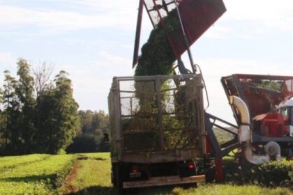la-expo-agroindustrial-obera-reunira-produccion,-industria-y-negocios-en-dos-jornadas-abiertas-al-publico